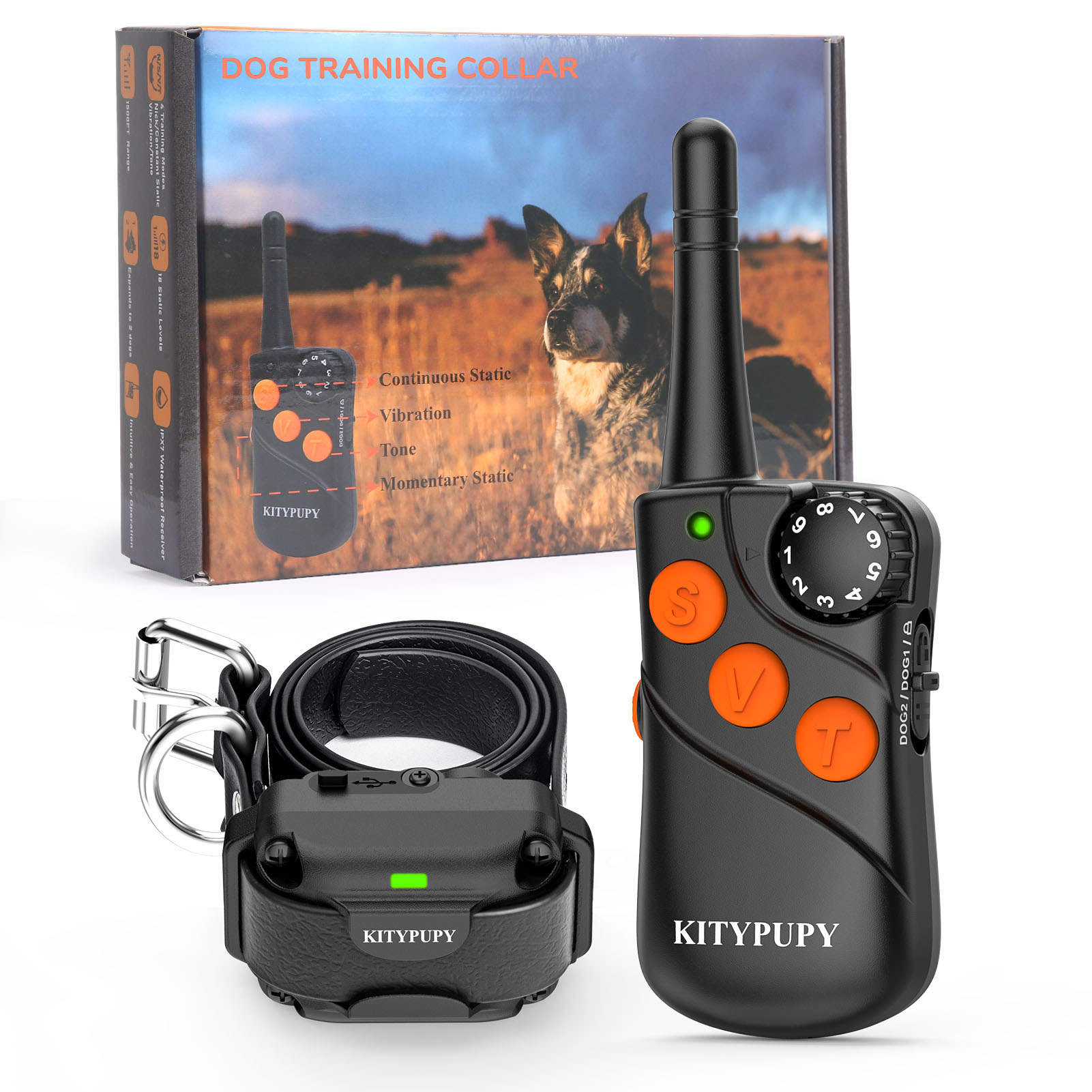 DT01 Dog Training Collar